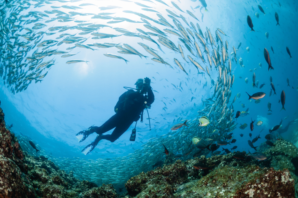 Buceo en Galápagos Ecuador